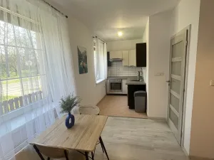 Pronájem bytu 2+kk, Hořín, 42 m2