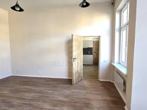 Pronájem bytu 2+kk, Teplice, Duchcovská, 52 m2