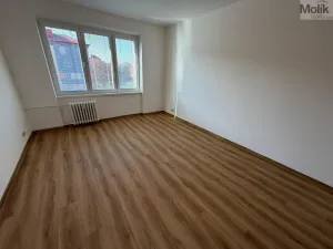 Prodej bytu 2+1, Most, Františka Halase, 54 m2