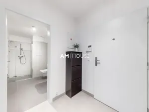 Pronájem bytu 1+kk, Praha - Karlín, Sokolovská, 40 m2