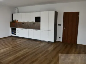 Pronájem bytu 1+kk, Plzeň, Pilařská, 43 m2