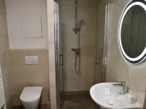 Pronájem bytu 1+kk, Plzeň, Pilařská, 43 m2