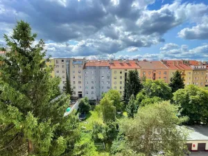 Prodej bytu 3+1, Praha - Žižkov, Biskupcova, 88 m2