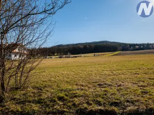 Prodej pozemku pro bydlení, Brloh - Rojšín, 3148 m2