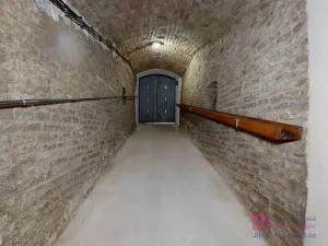 Prodej vinného sklepa, Velké Bílovice, U Školky, 125 m2