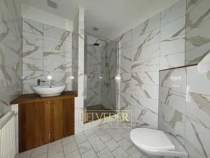 Pronájem rodinného domu, Bílina, Teplická, 200 m2