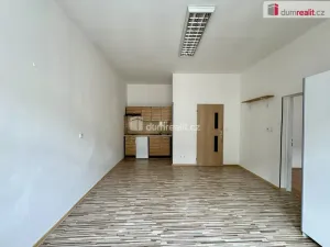 Pronájem bytu 1+1, Chomutov, Nerudova, 55 m2