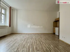 Pronájem bytu 1+1, Chomutov, Nerudova, 55 m2