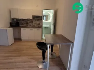 Prodej bytu 1+kk, Brno, Francouzská, 20 m2