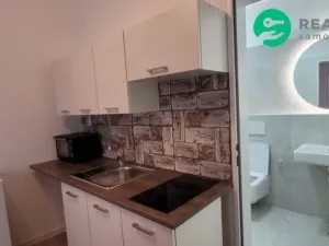 Prodej bytu 1+kk, Brno, Francouzská, 20 m2