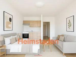 Pronájem bytu 1+kk, Ostrava - Zábřeh, Petruškova, 28 m2