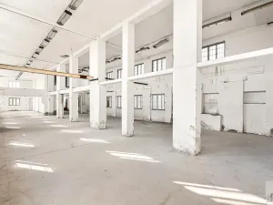 Prodej výrobních prostor, Heřmanův Městec, Tylova, 1970 m2