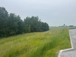 Prodej pozemku, Slavče - Dobrkovská Lhotka, 1251 m2