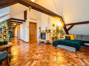 Prodej atypického bytu, Praha - Nové Město, Havlíčkova, 295 m2