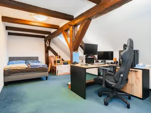 Prodej atypického bytu, Praha - Nové Město, Havlíčkova, 295 m2