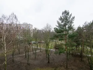 Pronájem bytu 2+kk, Praha - Krč, Vikova, 41 m2