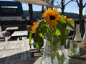 Prodej rodinného domu, Kvilda, 408 m2