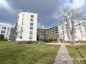 Pronájem bytu 1+kk, Brno, Horníkova, 32 m2