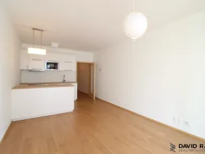 Pronájem bytu 1+kk, Olomouc - Nové Sady, Rokycanova, 40 m2