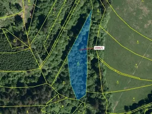 Dražba lesa, Hovězí, 2626 m2