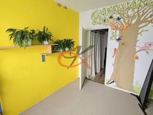 Pronájem bytu 3+1, Rožnov pod Radhoštěm, Svazarmovská, 64 m2