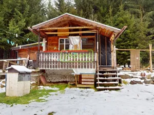 Prodej chaty, Nový Hrádek - Rzy, 43 m2