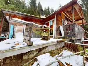 Prodej chaty, Nový Hrádek - Rzy, 43 m2