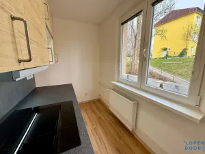 Pronájem bytu 3+1, Kadaň, Budovatelů, 70 m2