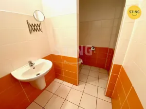 Pronájem obchodního prostoru, Opava - Předměstí, Kasárenská, 181 m2