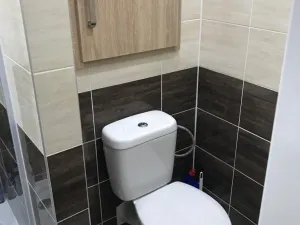 Pronájem bytu 1+kk, Ostrava, Gen. Píky, 28 m2