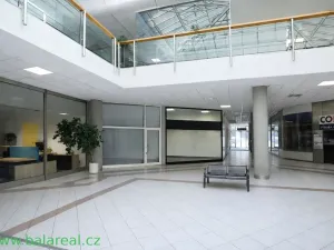 Pronájem obchodního prostoru, Brno - Zábrdovice, Příkop, 35 m2