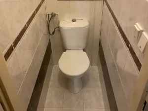 Prodej bytu 3+1, Blansko, Krajní, 78 m2