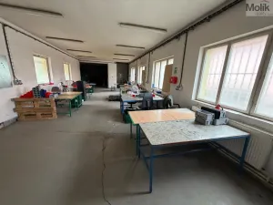 Pronájem skladu, Bílina - Chudeřice, Sadová, 1532 m2