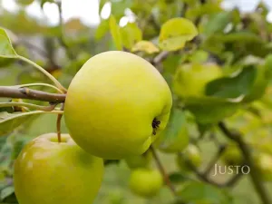 Prodej rodinného domu, Teplice, Na Bramši, 227 m2