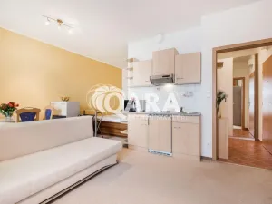 Pronájem bytu 1+kk, Praha, 28 m2