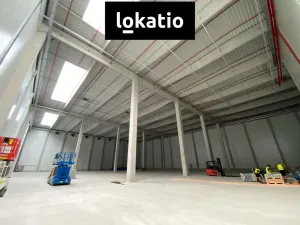 Pronájem skladu, Olomouc, 4000 m2