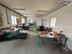 Pronájem výrobních prostor, Bílina - Chudeřice, Sadová, 1532 m2