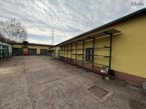 Pronájem výrobních prostor, Bílina - Chudeřice, Sadová, 1532 m2