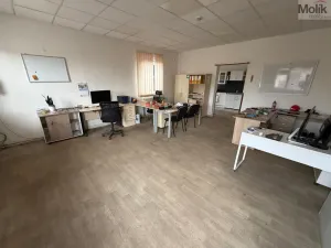 Pronájem obchodního prostoru, Bílina - Chudeřice, Sadová, 1532 m2