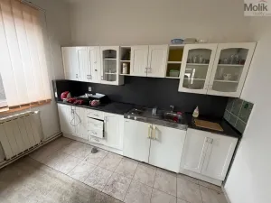 Pronájem obchodního prostoru, Bílina - Chudeřice, Sadová, 1532 m2