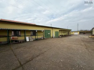 Pronájem obchodního prostoru, Bílina - Chudeřice, Sadová, 1532 m2