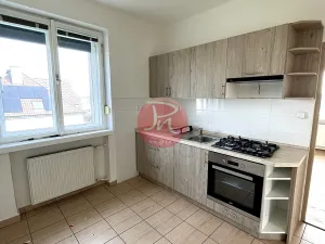 Pronájem obchodního prostoru, Ostrava - Svinov, Sabinova, 425 m2