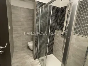 Pronájem bytu 2+kk, České Budějovice, Volejbalistů, 58 m2