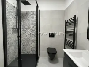 Pronájem bytu 2+kk, České Budějovice - České Budějovice 3, Nová, 37 m2