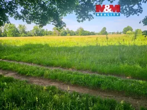 Prodej louky, Hradec Králové - Pražské Předměstí, 7544 m2