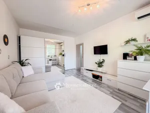 Pronájem bytu 3+1, Znojmo, Vídeňská třída, 73 m2