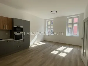 Pronájem bytu 2+kk, České Budějovice - České Budějovice 3, Nová, 42 m2