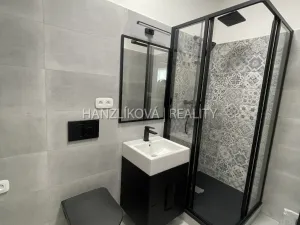 Pronájem bytu 2+kk, České Budějovice - České Budějovice 3, Nová, 42 m2