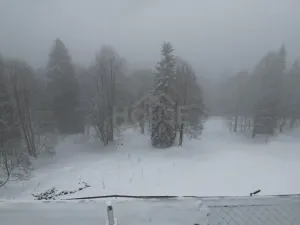 Prodej ubytování, Malá Úpa - Dolní Malá Úpa, 110 m2