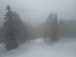 Prodej ubytování, Malá Úpa - Dolní Malá Úpa, 110 m2